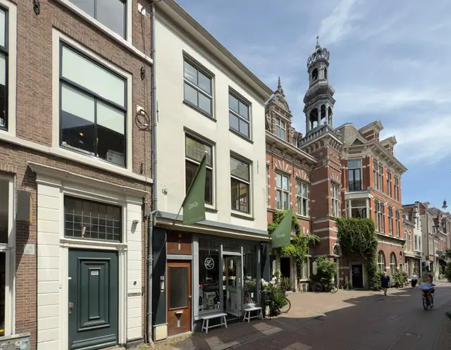 Appartement Smedestraat, Haarlem